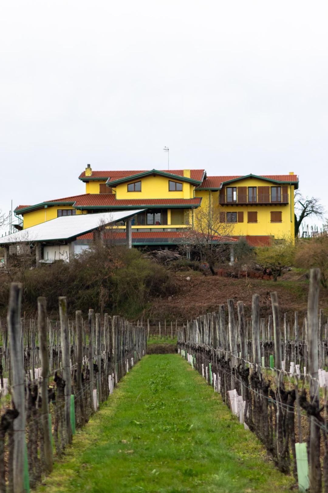 Agriturismo Nema Mossa Εξωτερικό φωτογραφία